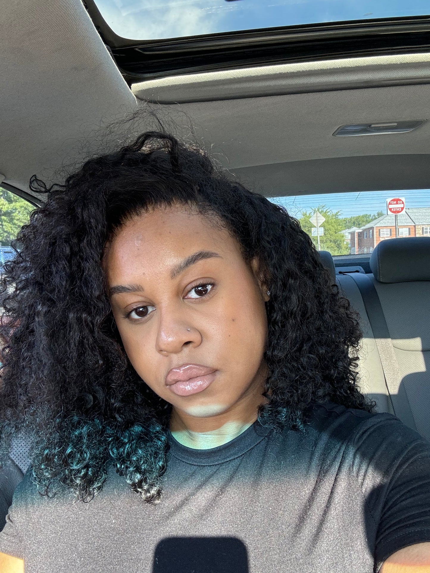 Burmese Curly