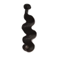 Bodywave